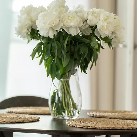 Your Holidays Waves D1081 * ミエンジズドロイェ