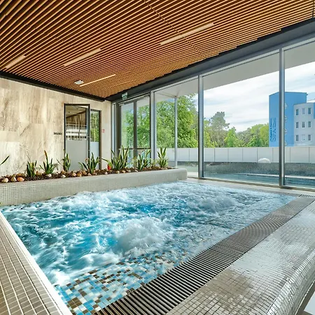 Your Holidays Waves D1081 *