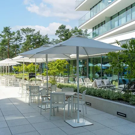 Your Holidays Wave D1081