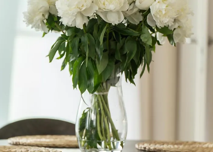 Your Holidays Wave D1081 * Miedzyzdroje